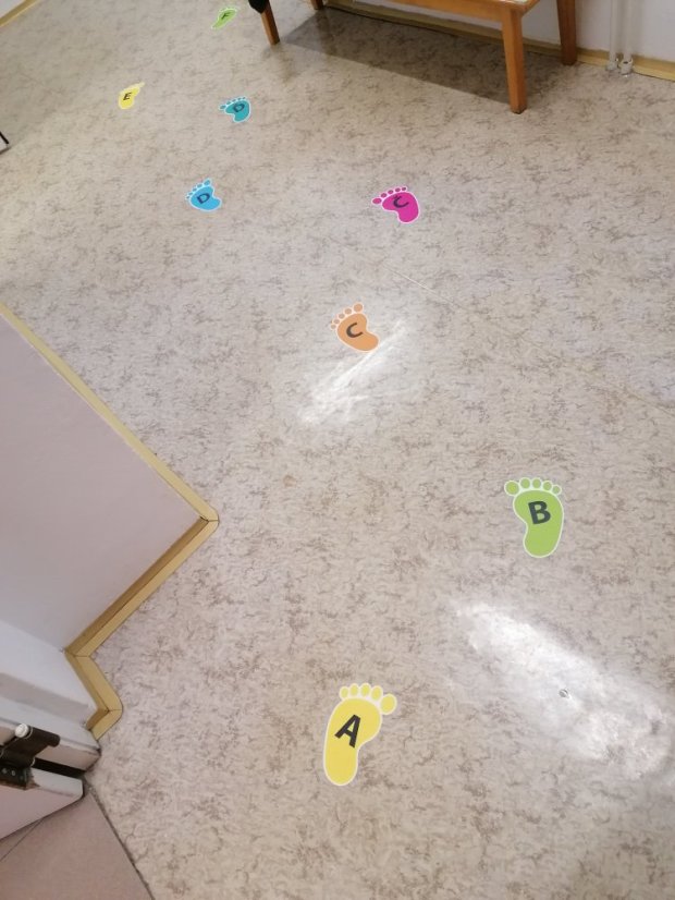 Senzomotorická dráha + tvary a roční období