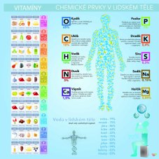 Vitamíny, prvky a lidské tělo