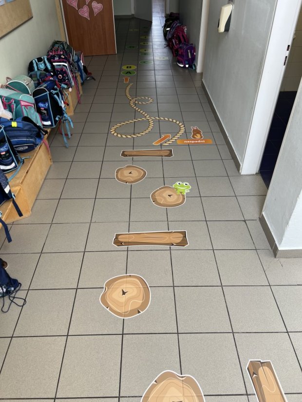 Senzomotorická dráha