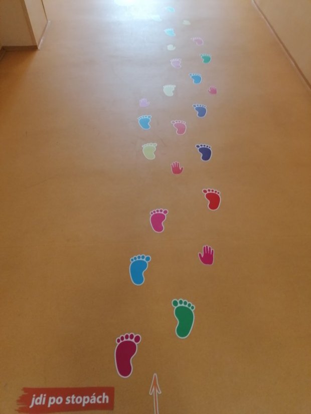 Senzomotorická dráha + tvary a roční období