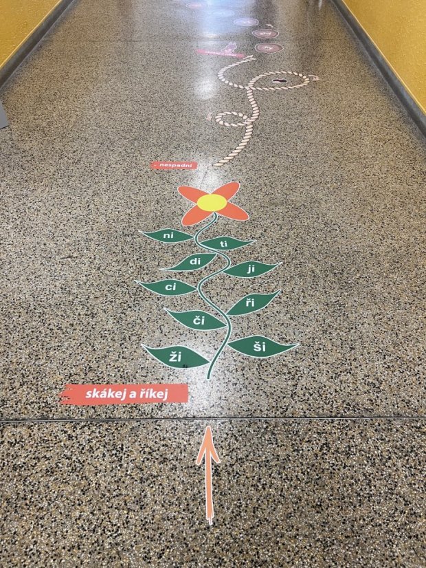 Senzomotorická dráha + ČJ