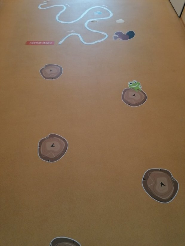 Senzomotorická dráha + tvary a roční období