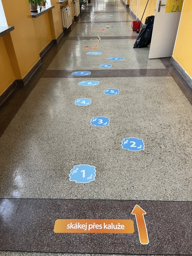 Senzomotorická dráha