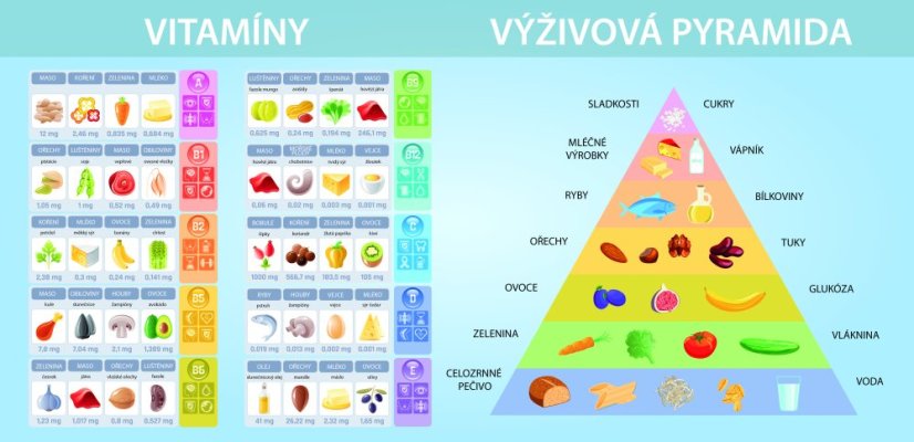Nástěnná deska Vitamíny a výživová pyramida