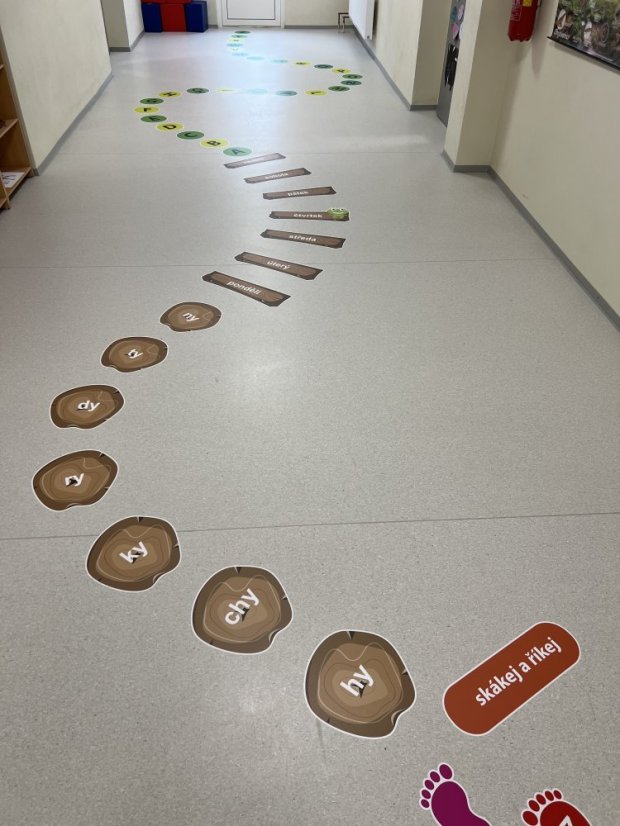 Senzomotorická dráha + ČJ