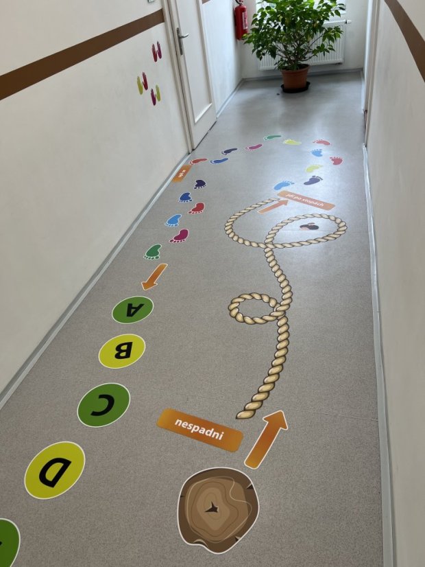 Senzomotorická dráha