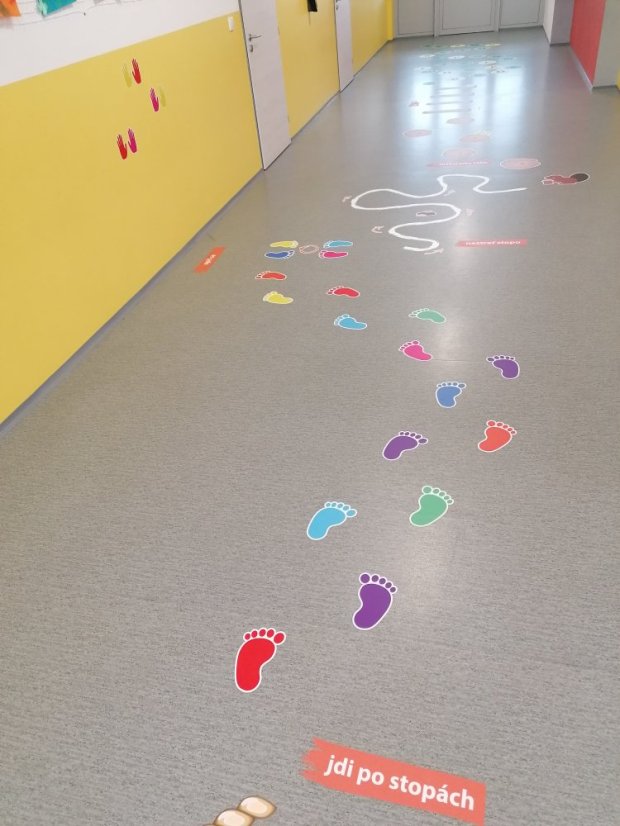 Senzomotorická dráha + tvary a roční období