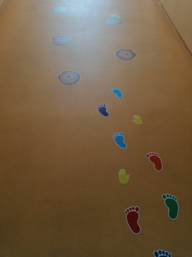 Senzomotorická dráha + tvary a roční období