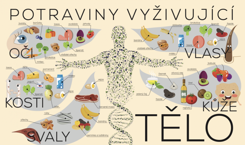 Nástěnná deska Tělo a výživa