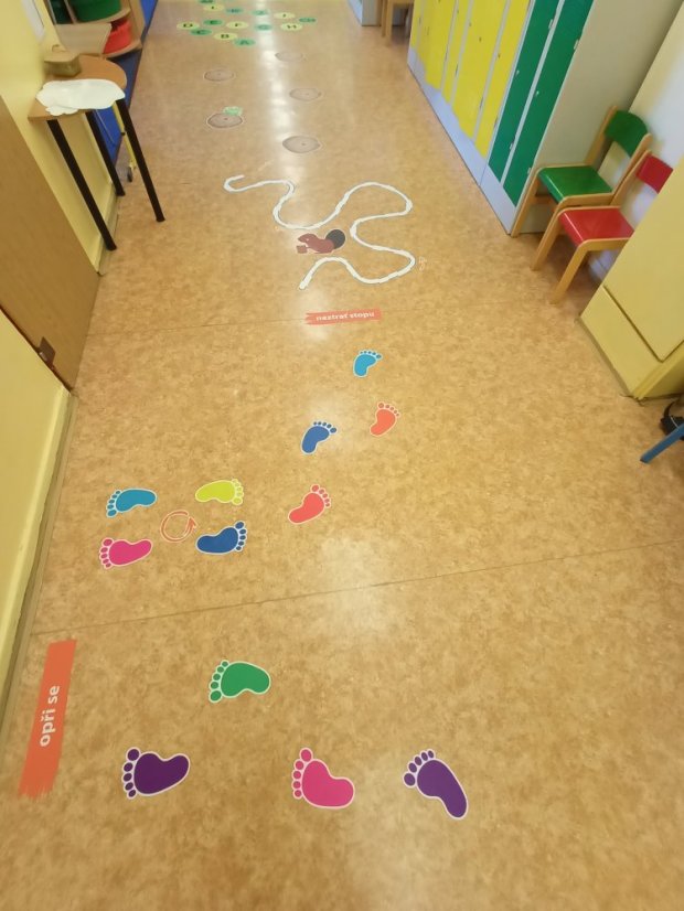 Senzomotorická dráha + tvary a roční období