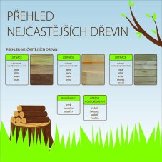 Přehled nejčastějších dřevin - DÍLNA