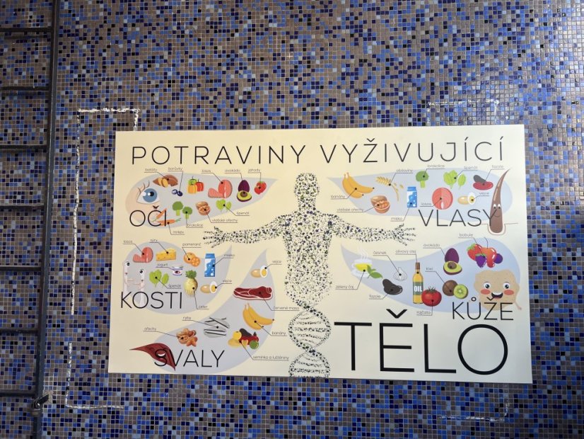 Nástěnná deska Tělo a výživa