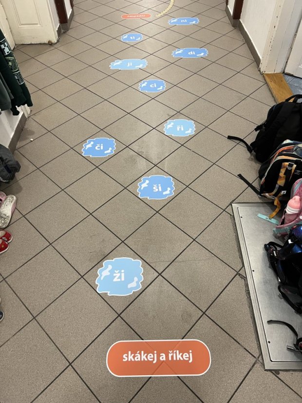 Senzomotorická dráha + ČJ