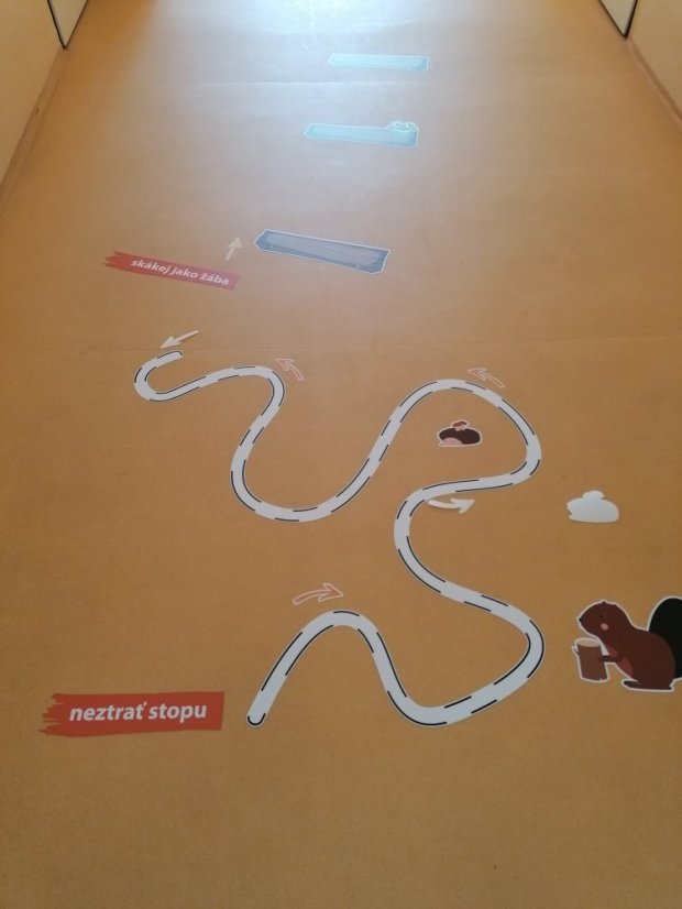 Senzomotorická dráha + tvary a roční období