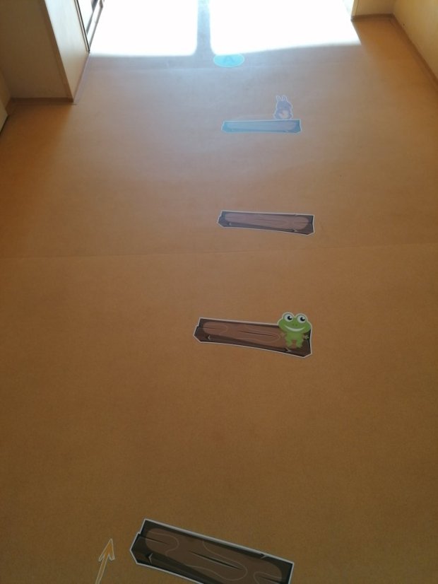 Senzomotorická dráha + tvary a roční období