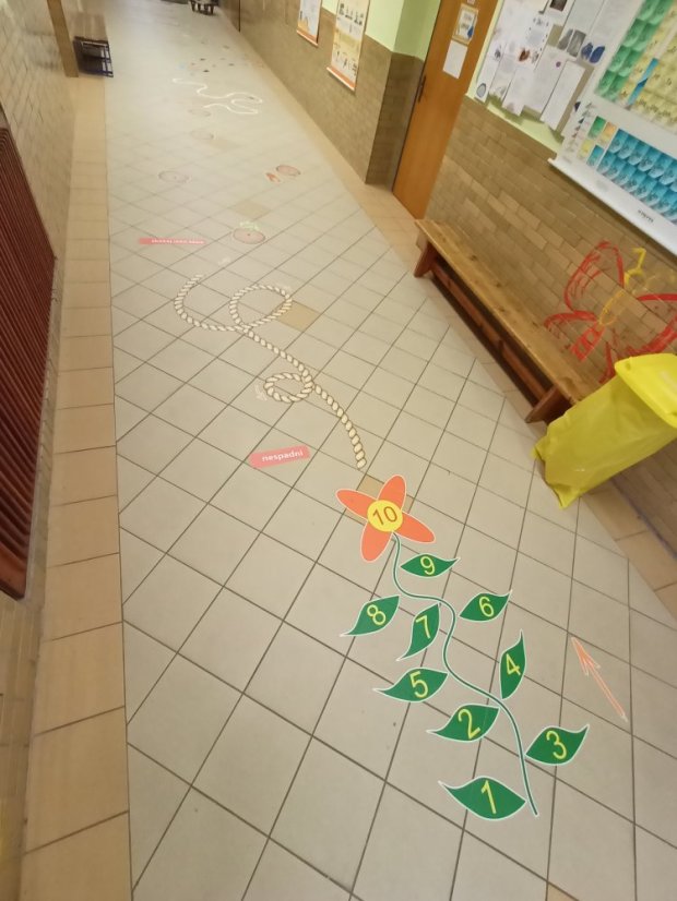 Senzomotorická dráha + tvary a roční období